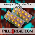 Kamagra 100Mg Oral Jelly Sildenafil new10